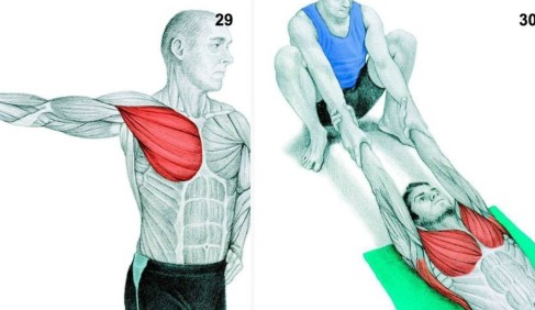 Exactly what muscles you’re stretching