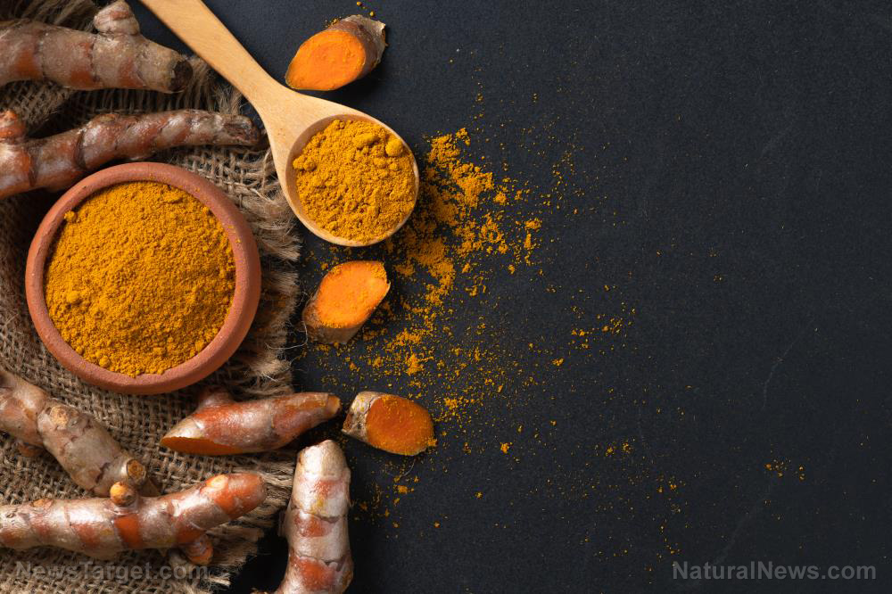 Study presents evidence supporting the use of curcumin as alternative treatment for kidney fibrosis