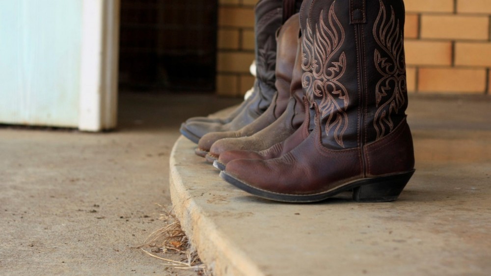 Several pair of western boots lined up on a step.